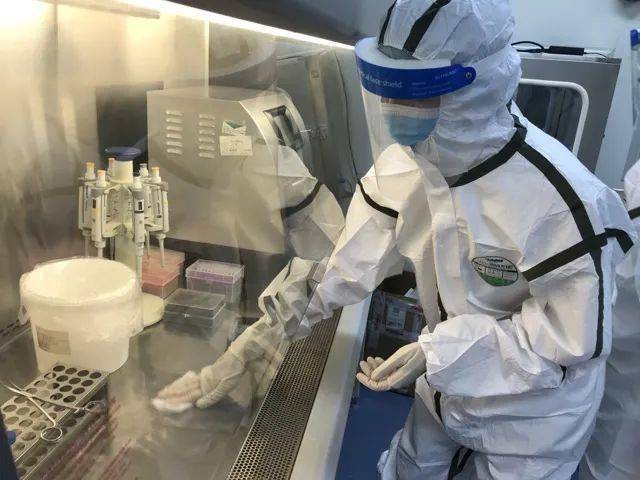 生物安全柜洗濯消毒